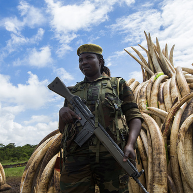 WCS Kenya ivory burn 1