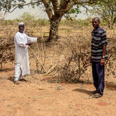 WCS Nigeria's Last Herd