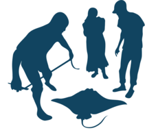 WCS coral icon for measuring outcomes