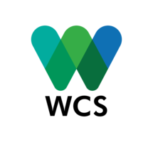 QZ WCS Logo