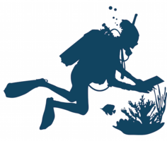 WCS coral CUTTING-EDGE ACTIONABLE SCIENCE